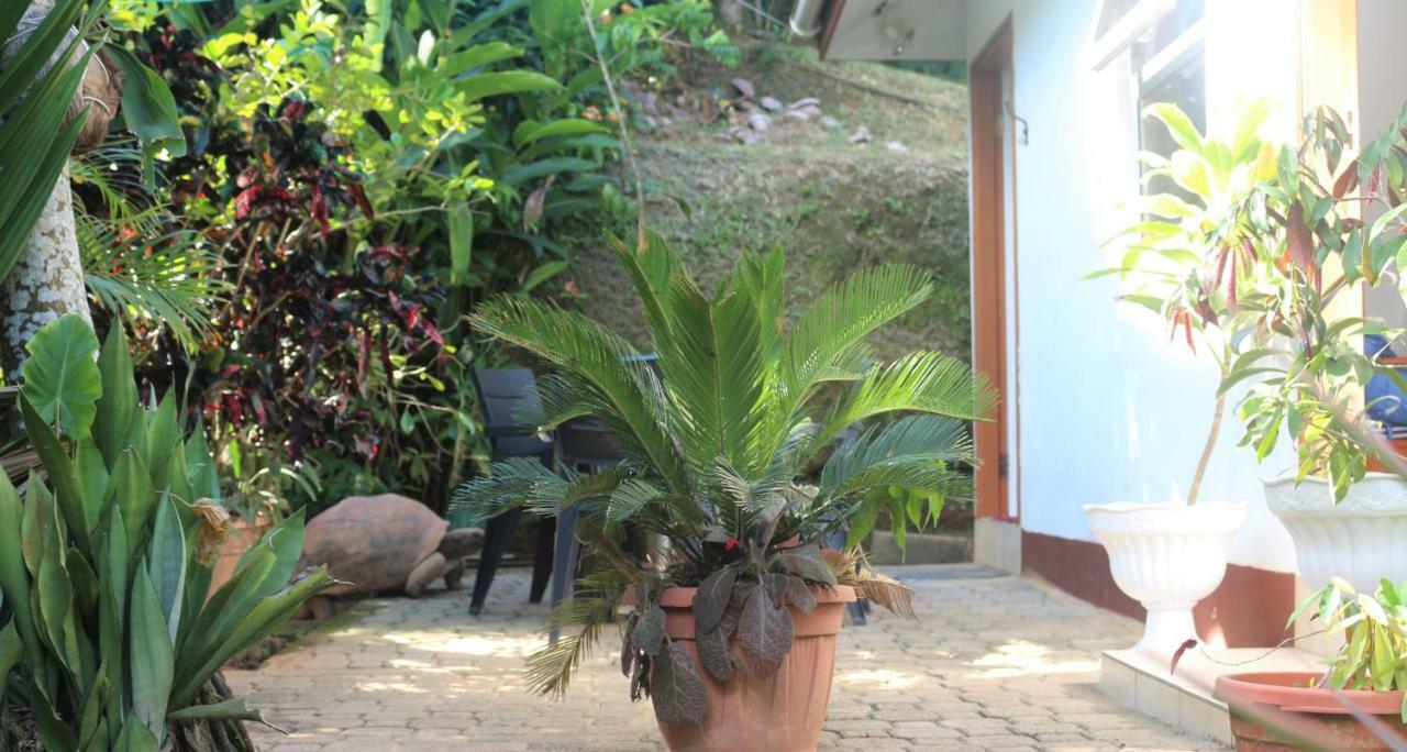 דירות ויקטוריה Garden Hut מראה חיצוני תמונה