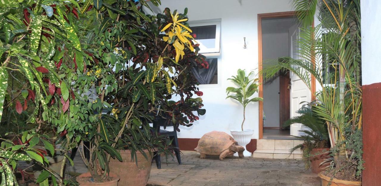 דירות ויקטוריה Garden Hut מראה חיצוני תמונה